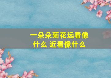 一朵朵菊花远看像什么 近看像什么